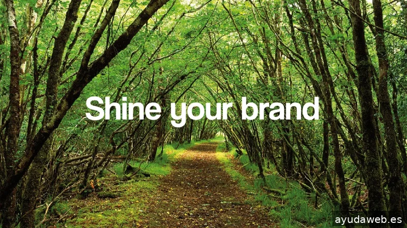 IMAGUS Marketing, Branding & Design