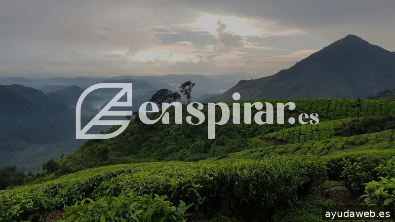 Jorge de Guzmán - JDG Estudio