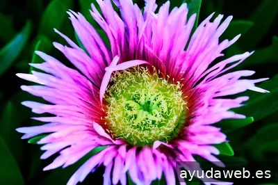 ZAK MARKETING CREATIVO