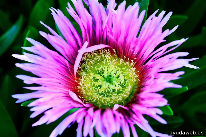 ZAK MARKETING CREATIVO