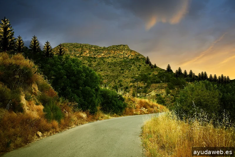 ZAK MARKETING CREATIVO