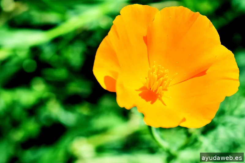 ZAK MARKETING CREATIVO