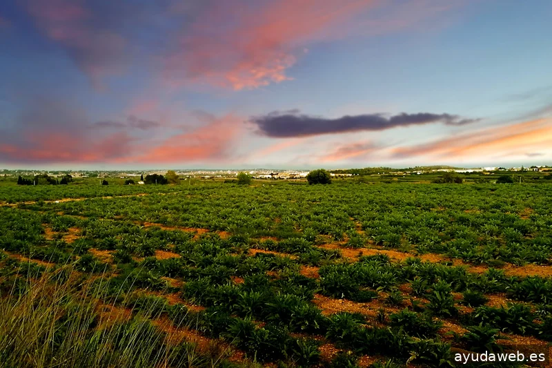 ZAK MARKETING CREATIVO