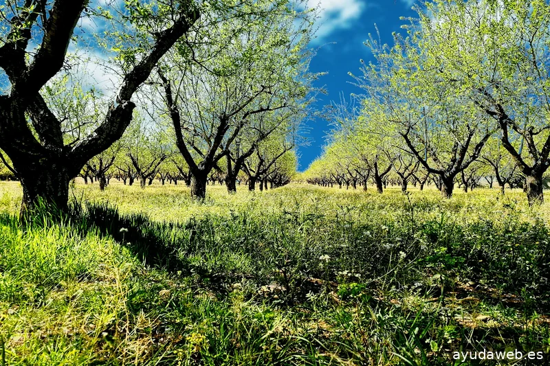 ZAK MARKETING CREATIVO