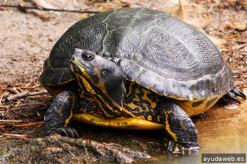 ZAK MARKETING CREATIVO