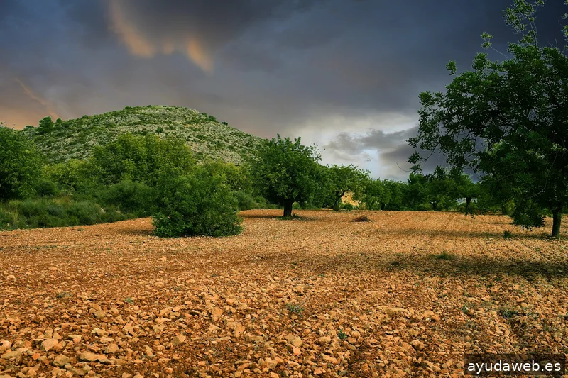 ZAK MARKETING CREATIVO