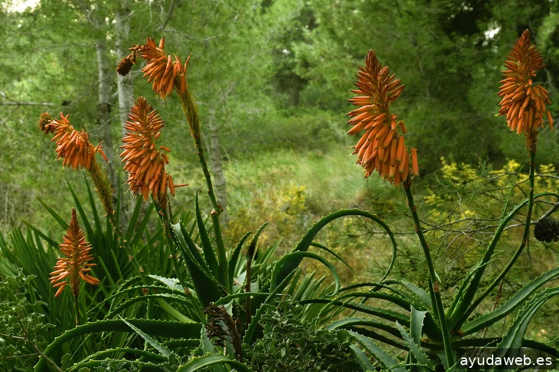 ZAK MARKETING CREATIVO