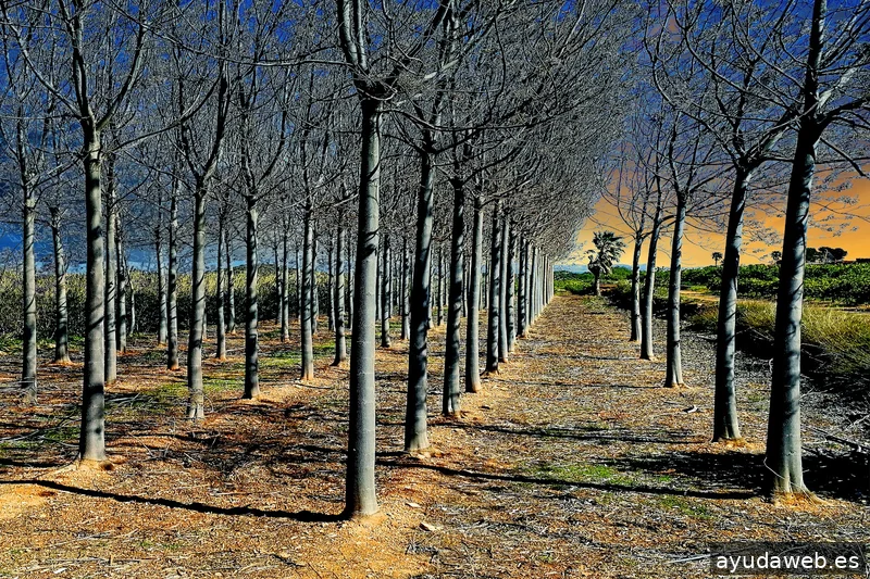 ZAK MARKETING CREATIVO