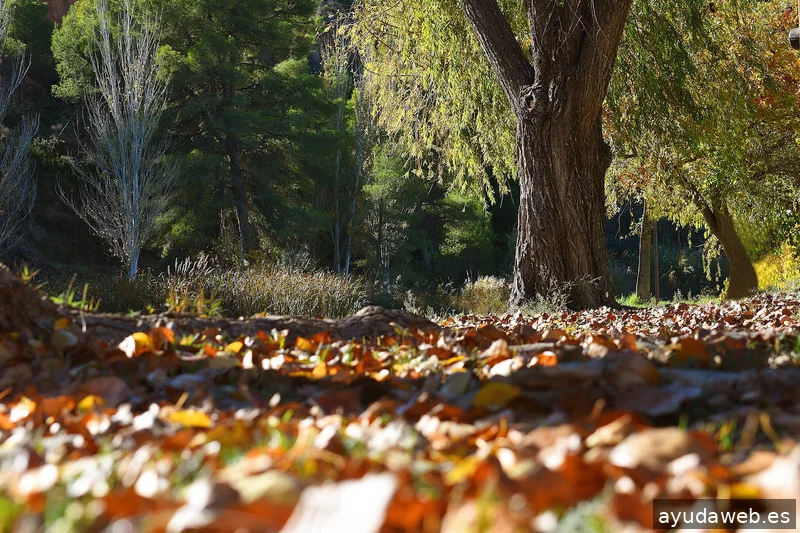 ZAK MARKETING CREATIVO