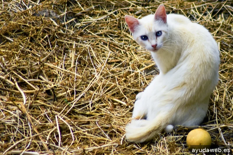 ZAK MARKETING CREATIVO