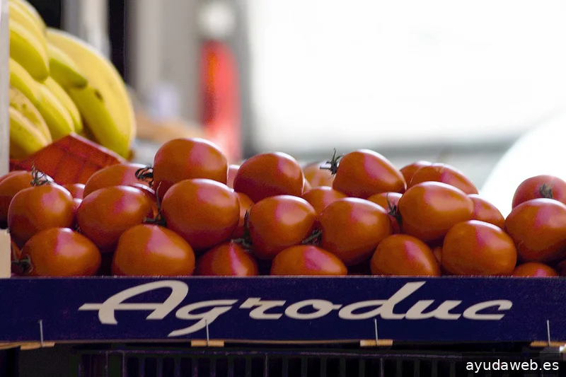 ZAK MARKETING CREATIVO