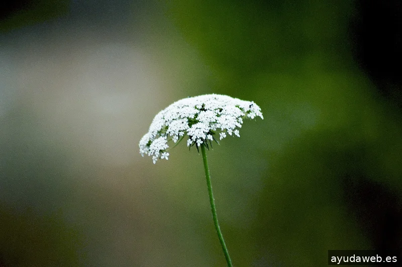 ZAK MARKETING CREATIVO