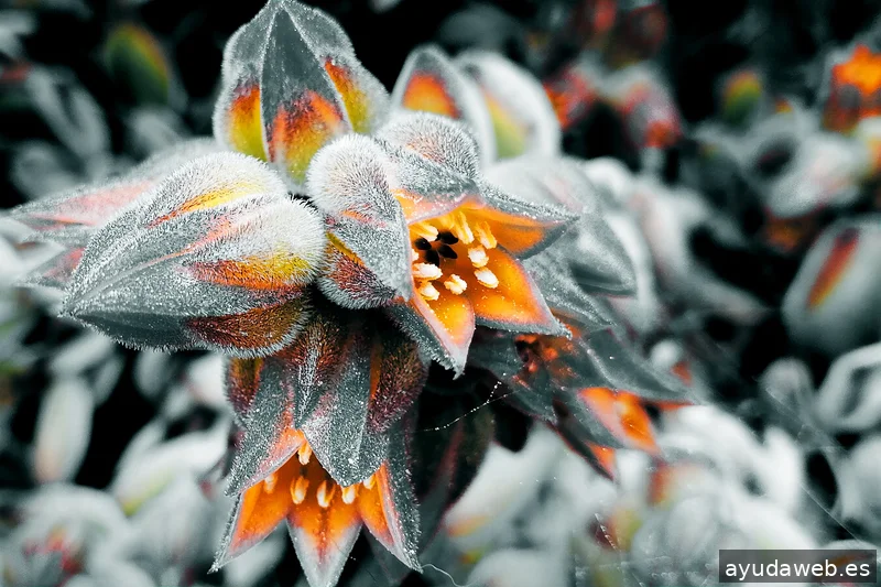 ZAK MARKETING CREATIVO