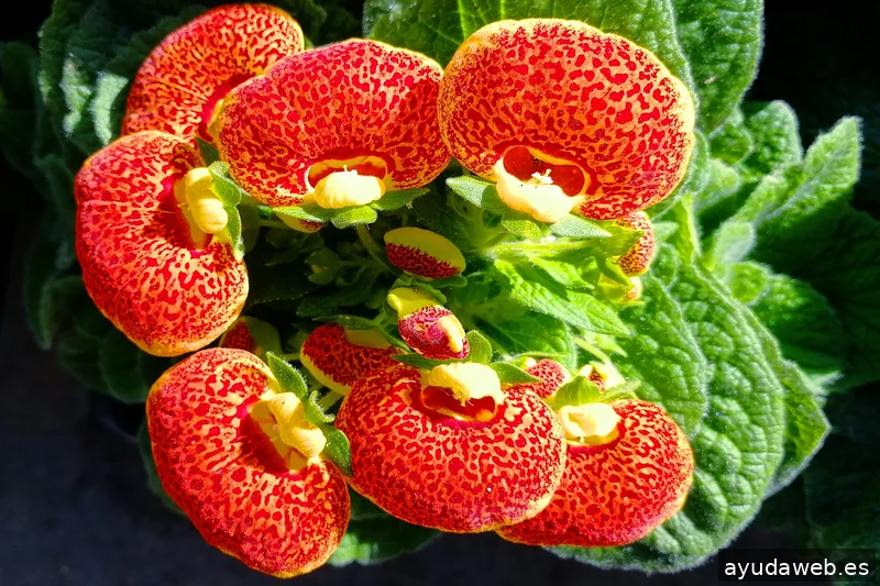 ZAK MARKETING CREATIVO