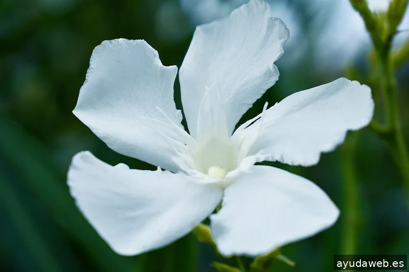 ZAK MARKETING CREATIVO