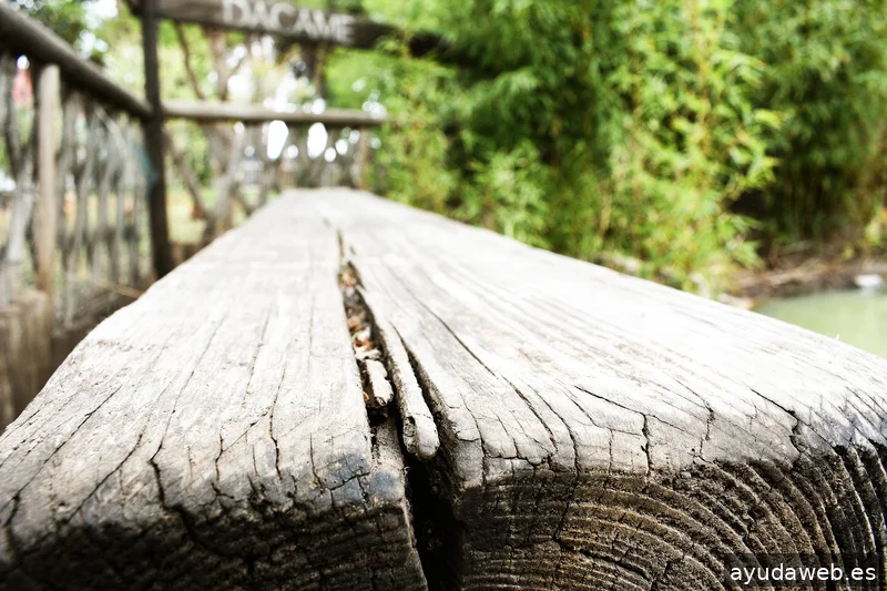 ZAK MARKETING CREATIVO