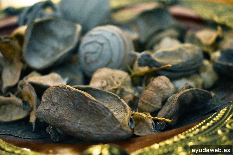 ZAK MARKETING CREATIVO