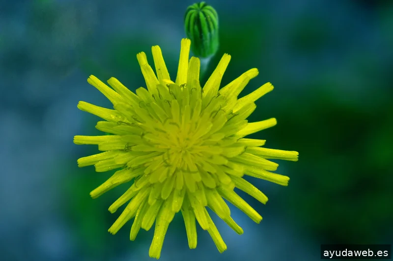 ZAK MARKETING CREATIVO