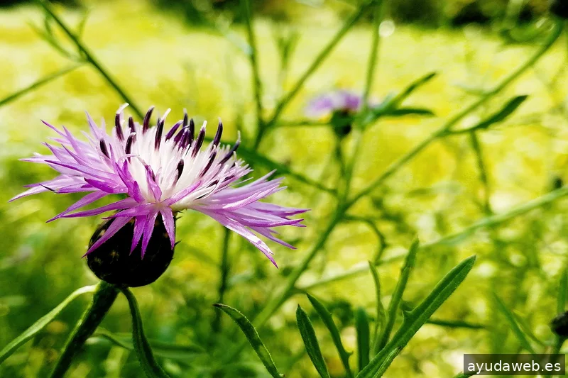 ZAK MARKETING CREATIVO