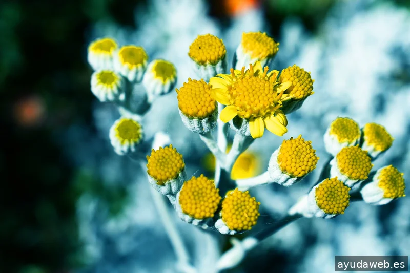 ZAK MARKETING CREATIVO