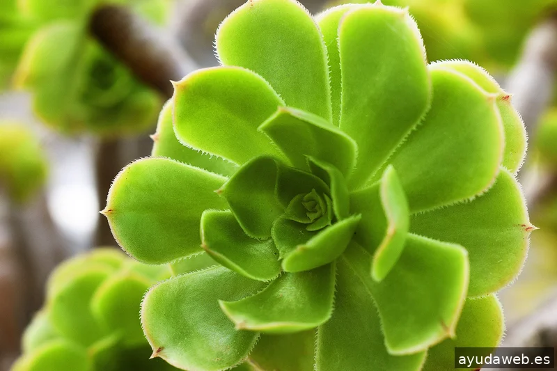 ZAK MARKETING CREATIVO