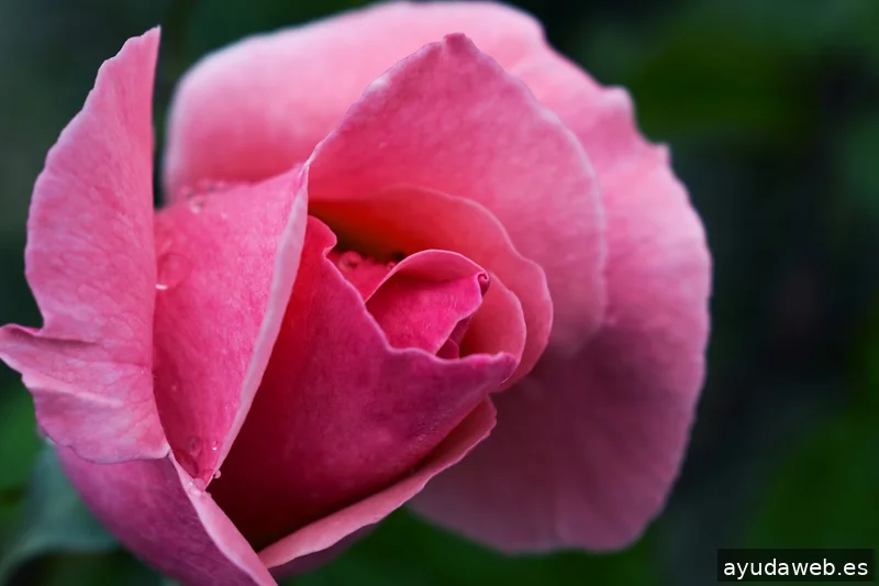 ZAK MARKETING CREATIVO