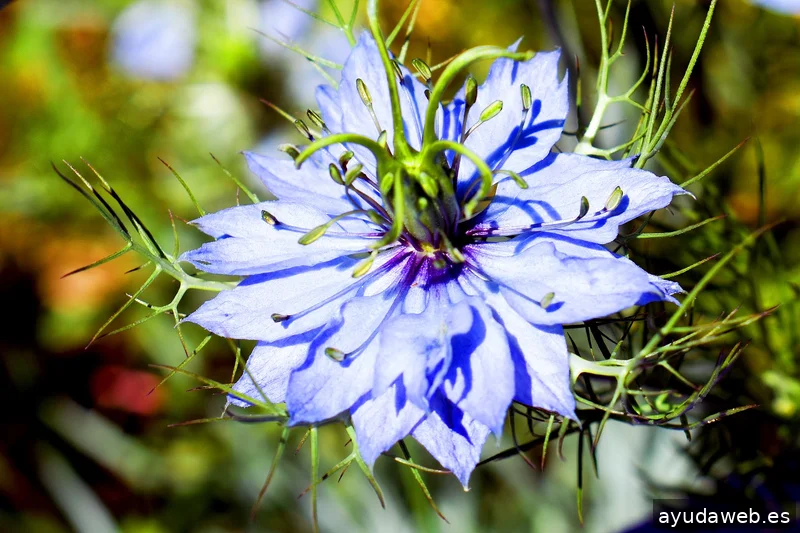 ZAK MARKETING CREATIVO