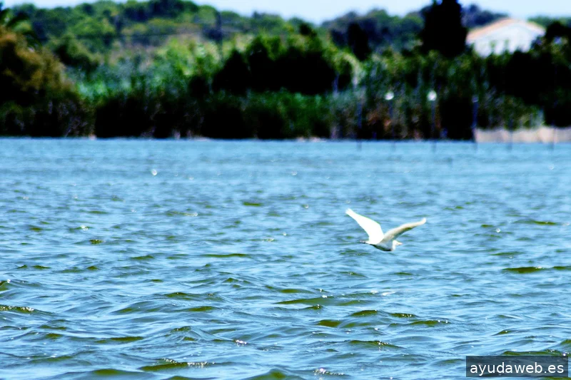 ZAK MARKETING CREATIVO