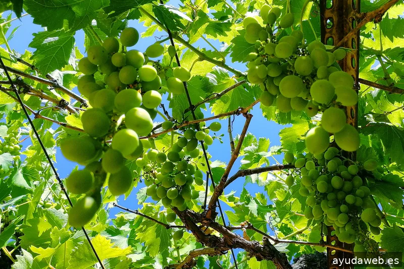 ZAK MARKETING CREATIVO