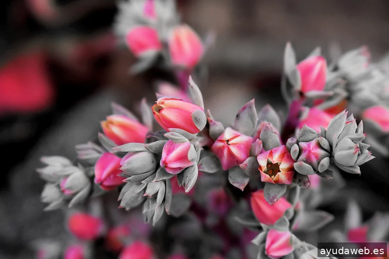 ZAK MARKETING CREATIVO