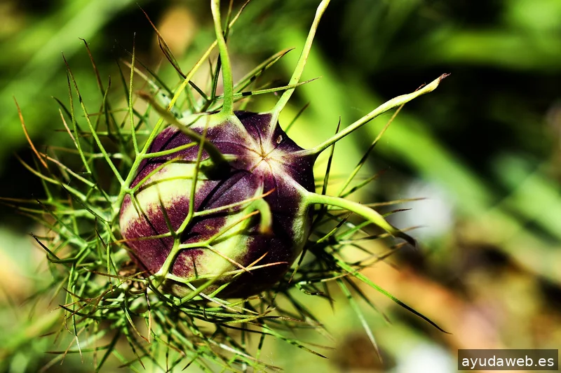 ZAK MARKETING CREATIVO