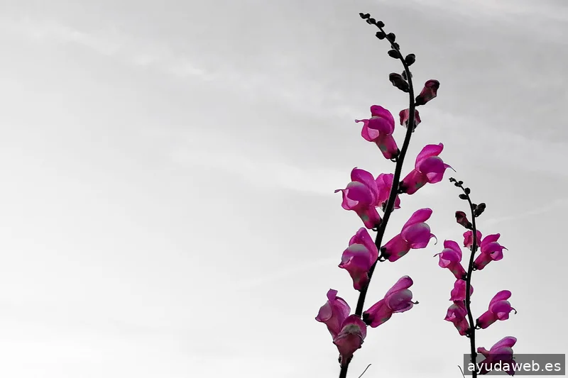 ZAK MARKETING CREATIVO