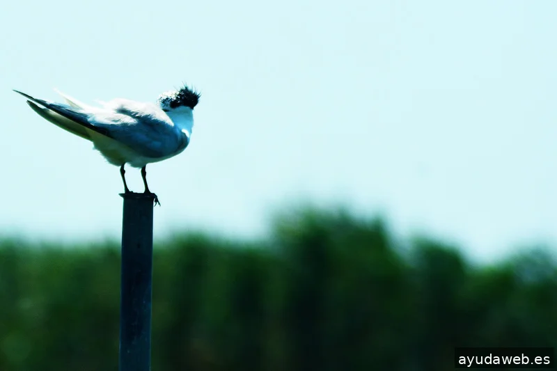 ZAK MARKETING CREATIVO