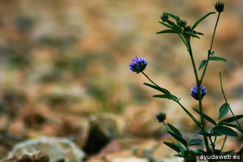 ZAK MARKETING CREATIVO