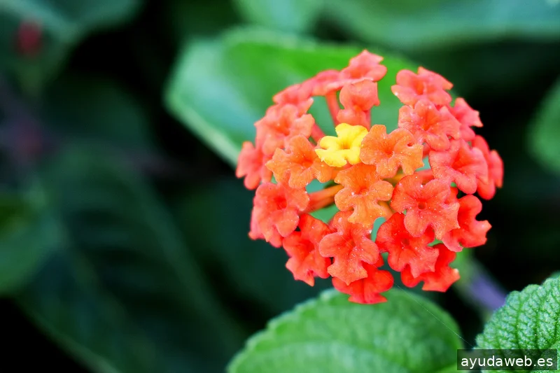 ZAK MARKETING CREATIVO