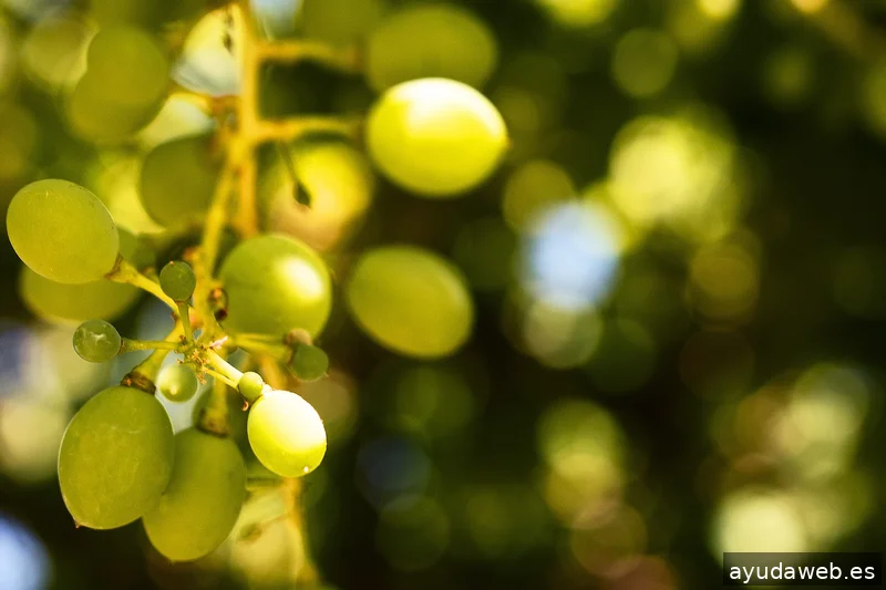 ZAK MARKETING CREATIVO