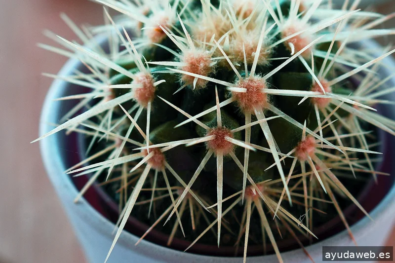 ZAK MARKETING CREATIVO