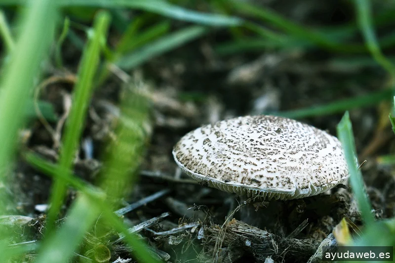 ZAK MARKETING CREATIVO