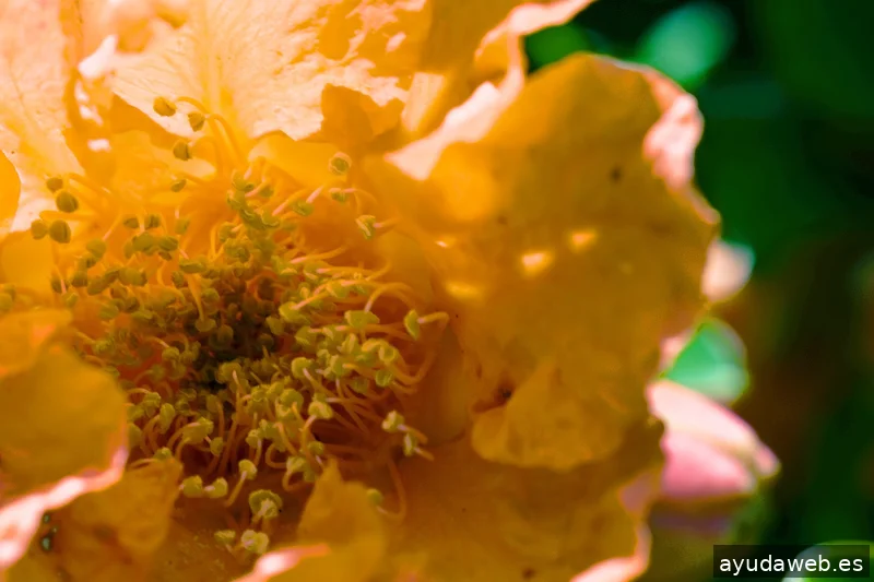 ZAK MARKETING CREATIVO