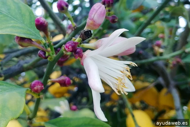 ZAK MARKETING CREATIVO