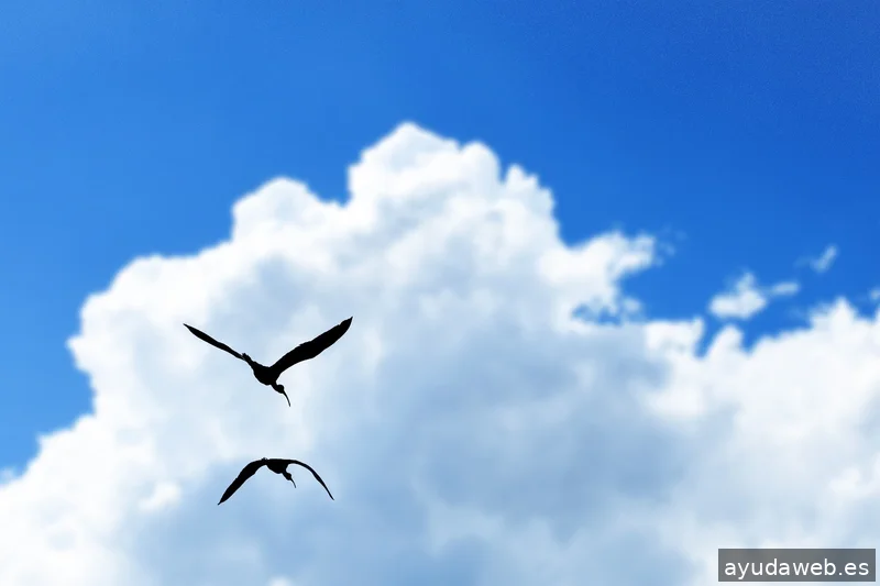 ZAK MARKETING CREATIVO