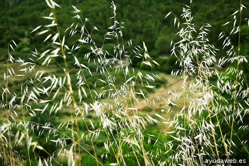 ZAK MARKETING CREATIVO