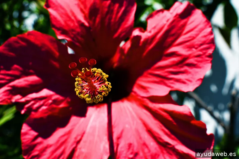 ZAK MARKETING CREATIVO