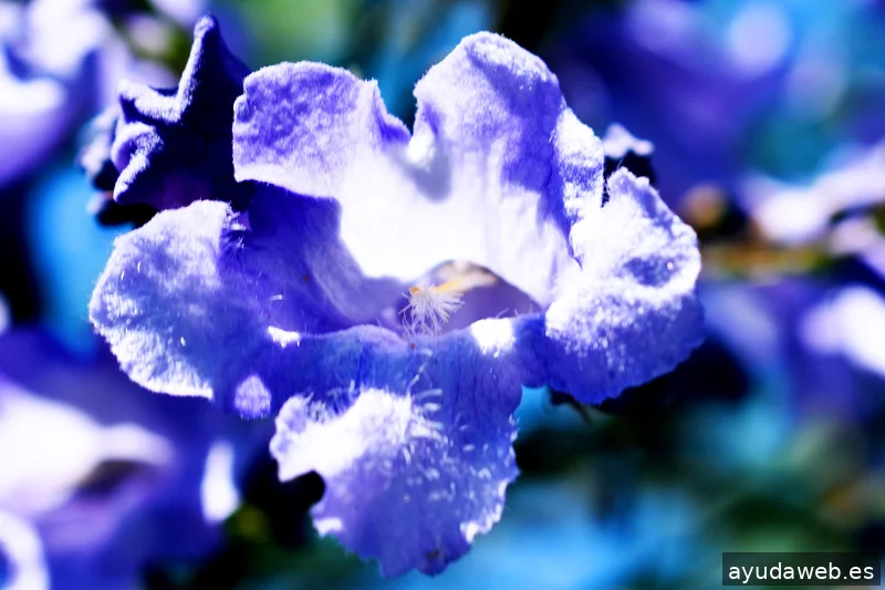 ZAK MARKETING CREATIVO