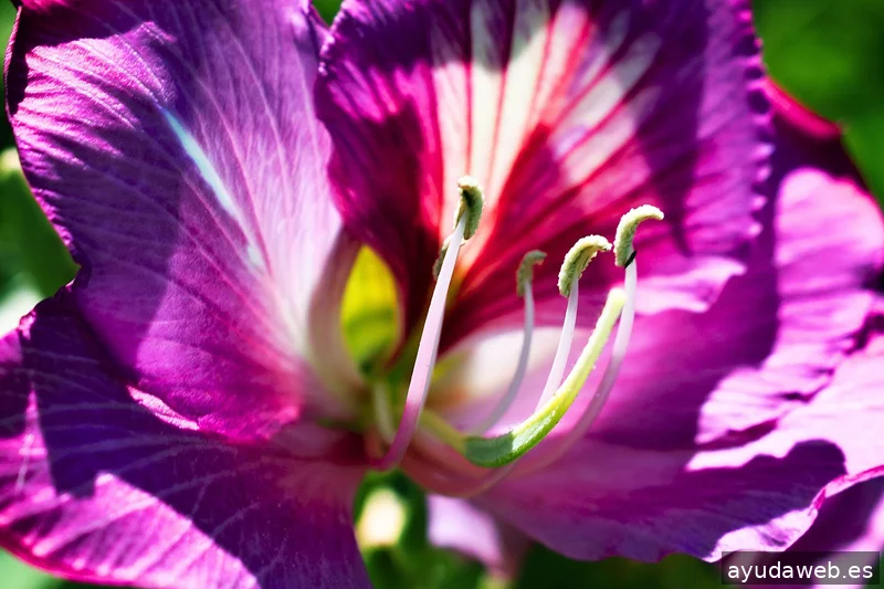 ZAK MARKETING CREATIVO