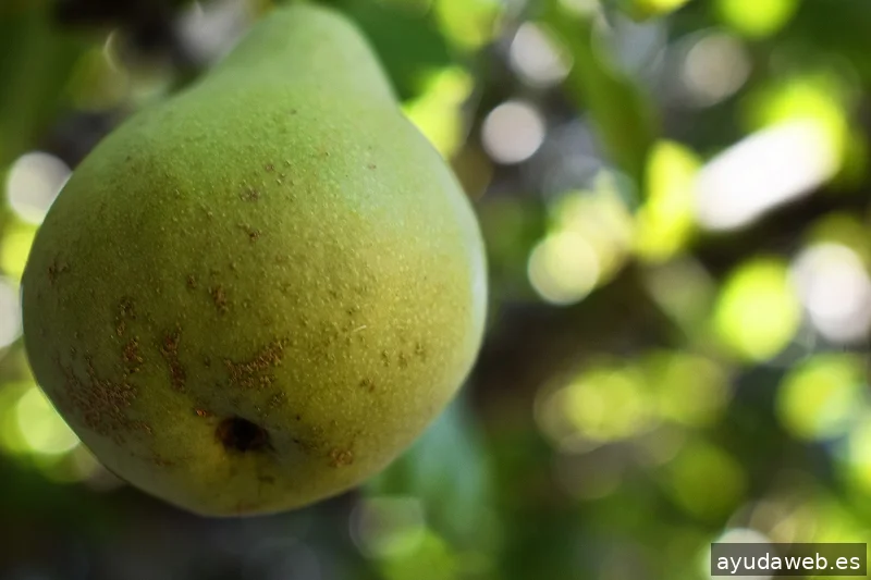 ZAK MARKETING CREATIVO