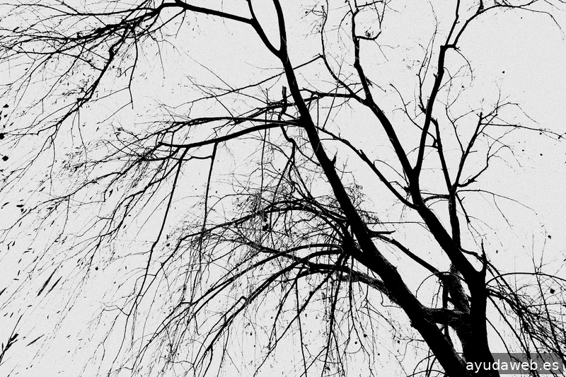 ZAK MARKETING CREATIVO