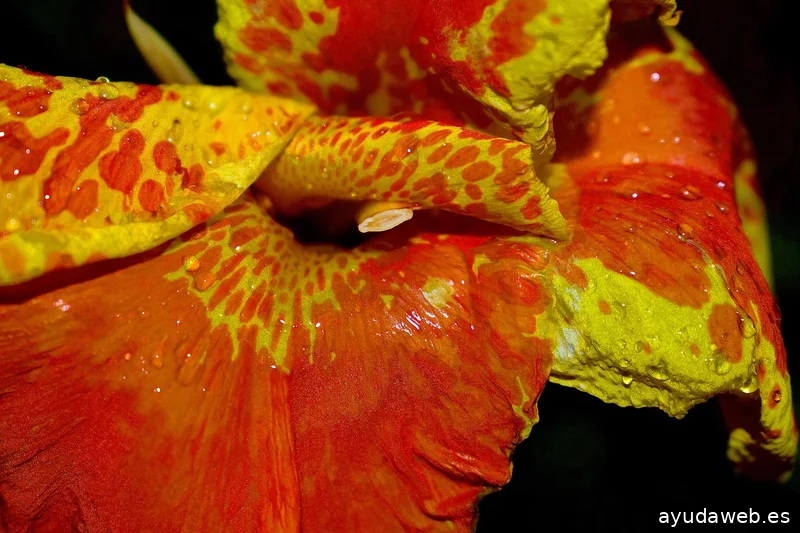 ZAK MARKETING CREATIVO