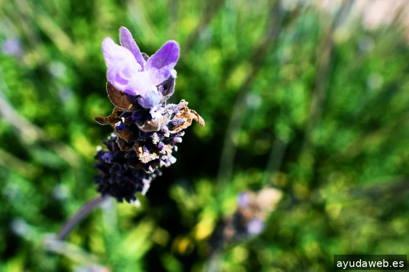 ZAK MARKETING CREATIVO