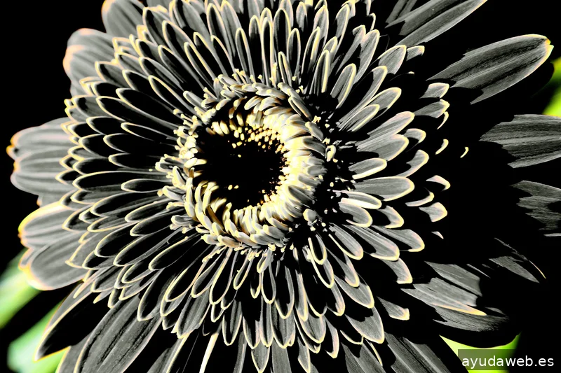 ZAK MARKETING CREATIVO